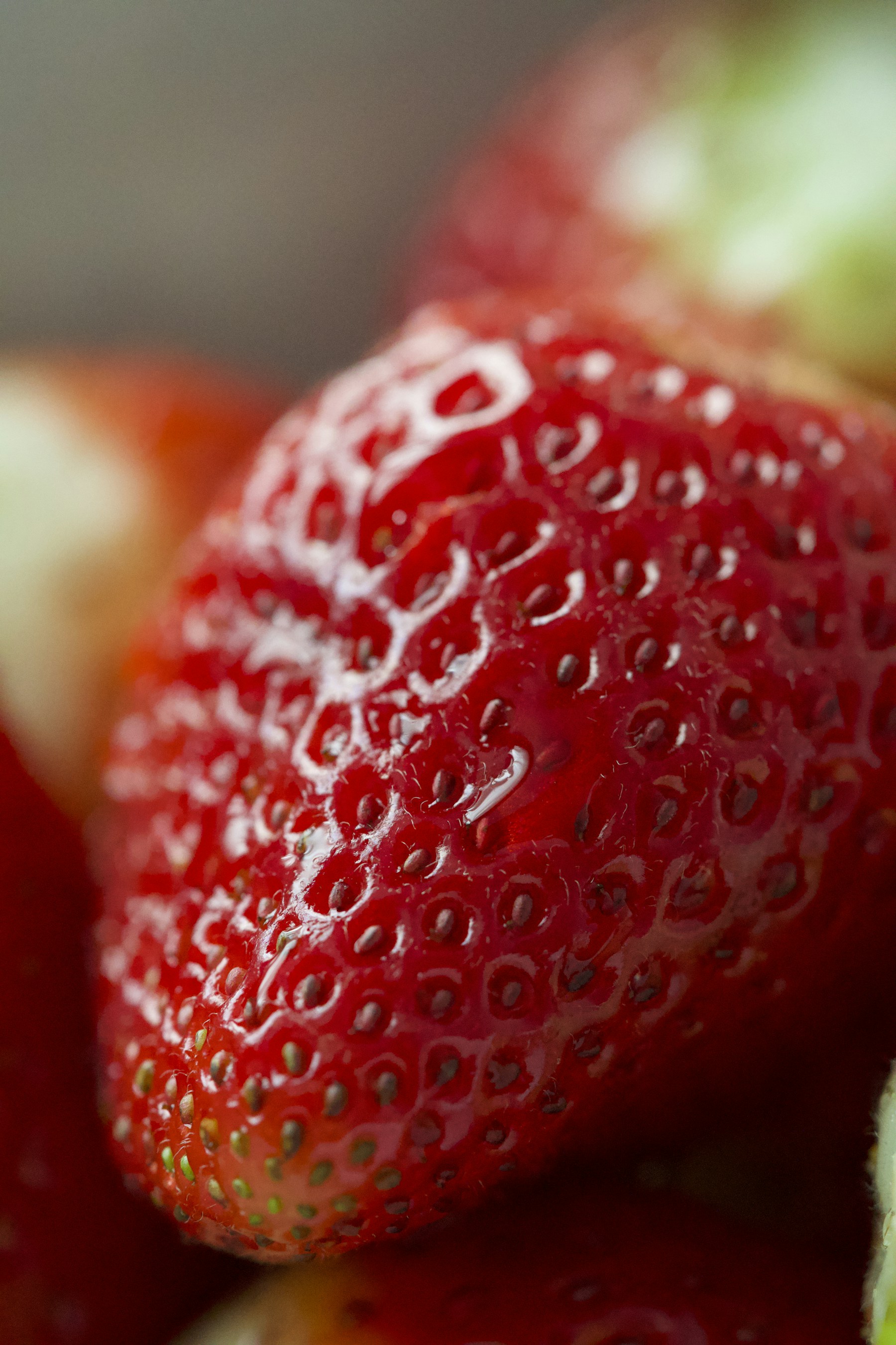 Vivid red strawberries representing Zahira Foods frozen fruit range